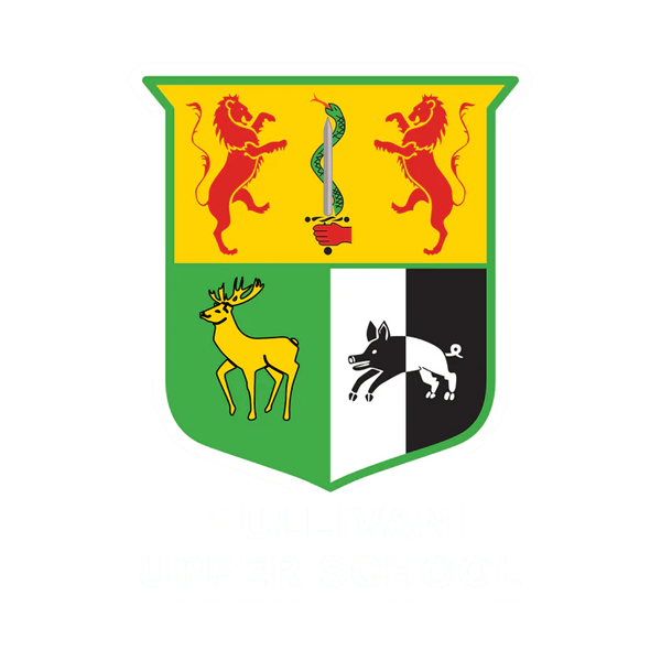 Sullivan Upper Dance Team