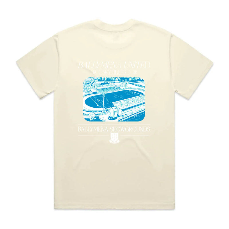 Load image into Gallery viewer, POD Ballymena United FC T-shirt Template 21 - Kids
