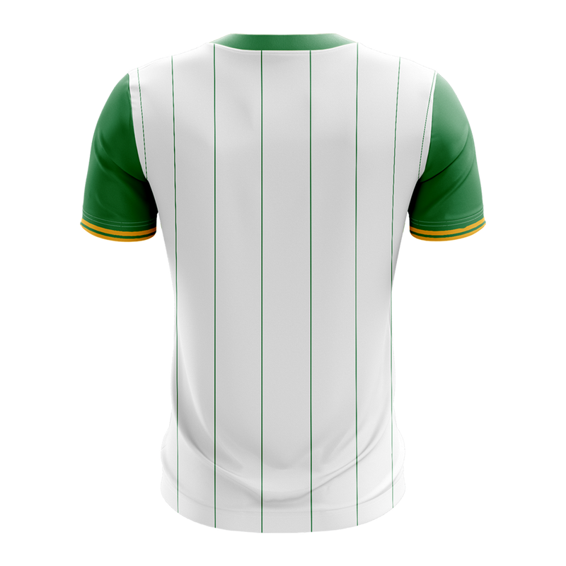 Load image into Gallery viewer, Clongeen GAC Jersey (B02) - Kids