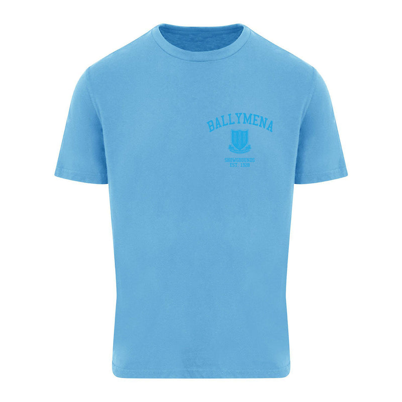 Load image into Gallery viewer, POD Ballymena United FC T-Shirt Template 14 - Adults
