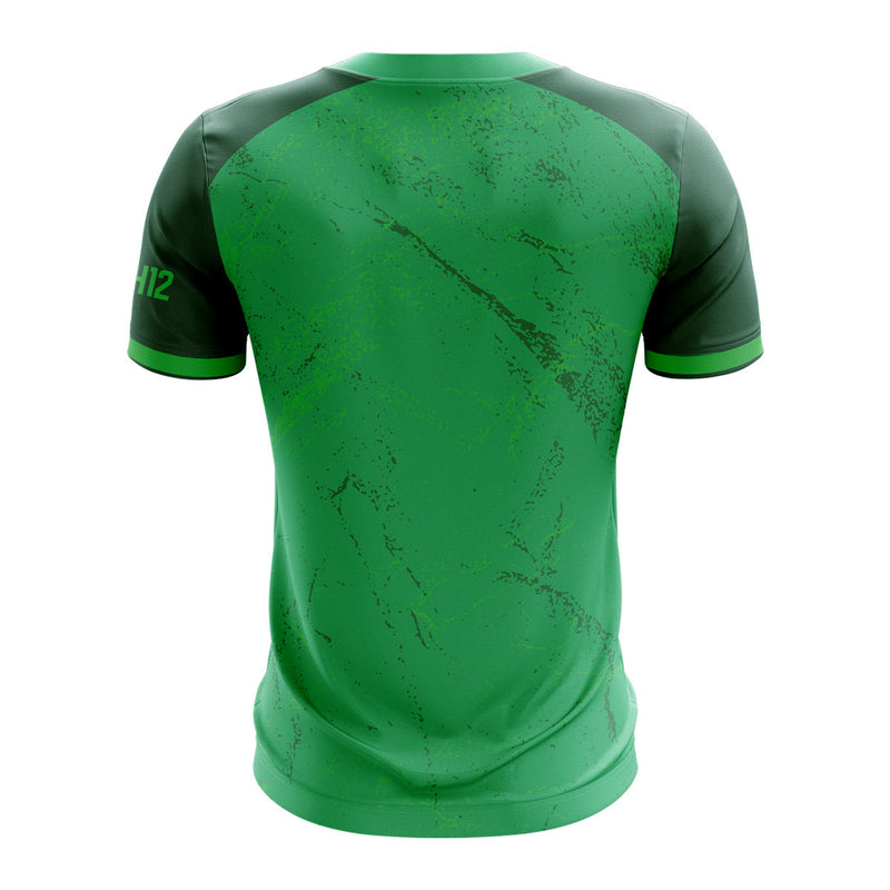 Load image into Gallery viewer, CF Sports Academy Jersey F03 (Green) - Adults