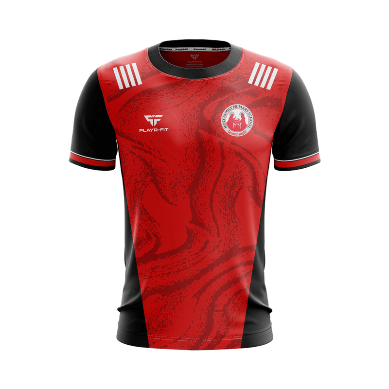 Load image into Gallery viewer, Holy Family PS Teconnaught Jersey - Adults