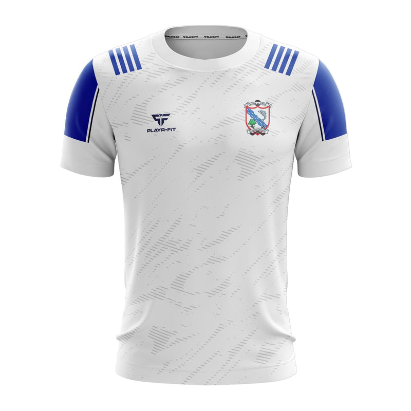 Load image into Gallery viewer, Oylegate Glenbrien GFC Jersey F15 - Adults