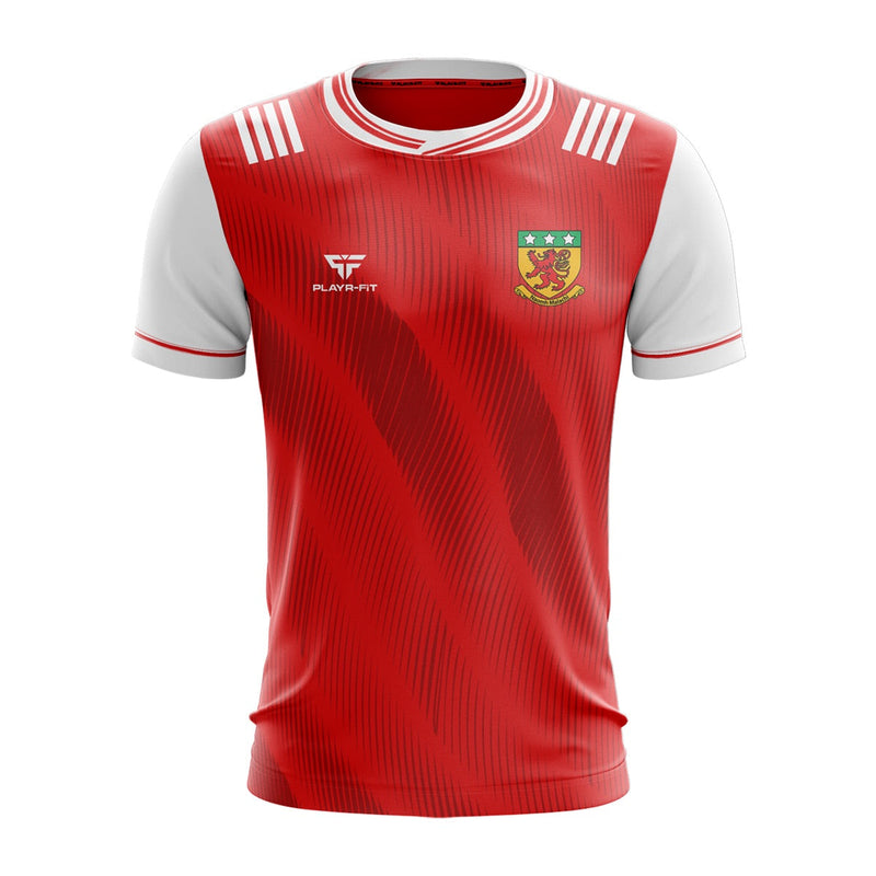 Load image into Gallery viewer, Naomh Malachi Jersey 11 - Kids