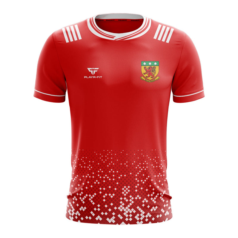 Load image into Gallery viewer, Naomh Malachi Jersey 22 - Kids