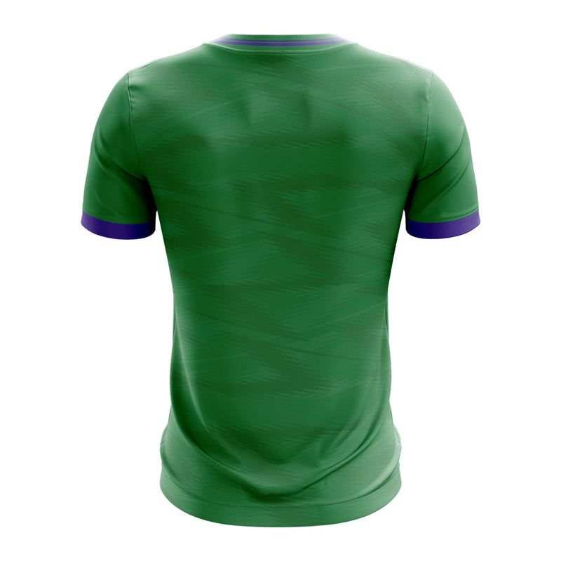 Load image into Gallery viewer, Wolfe Tone GAC Derrymacash Jersey 03 Green/Purple (LGFA) - Kids