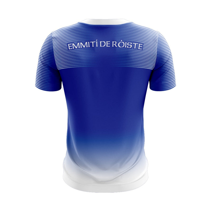 Load image into Gallery viewer, Roche Emmets CLG Jersey (Custom Blue/White) - Kids