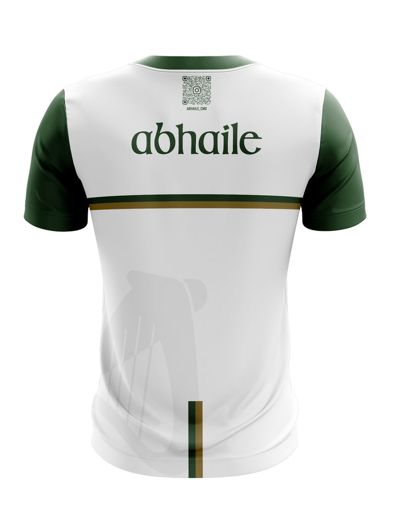 Load image into Gallery viewer, Abhaile Jersey (01) - Kids
