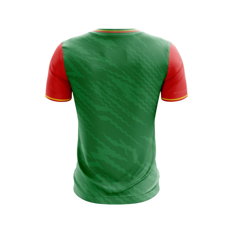 Load image into Gallery viewer, St Teresa's PS Tullyherron Students Jersey D39 - Kids