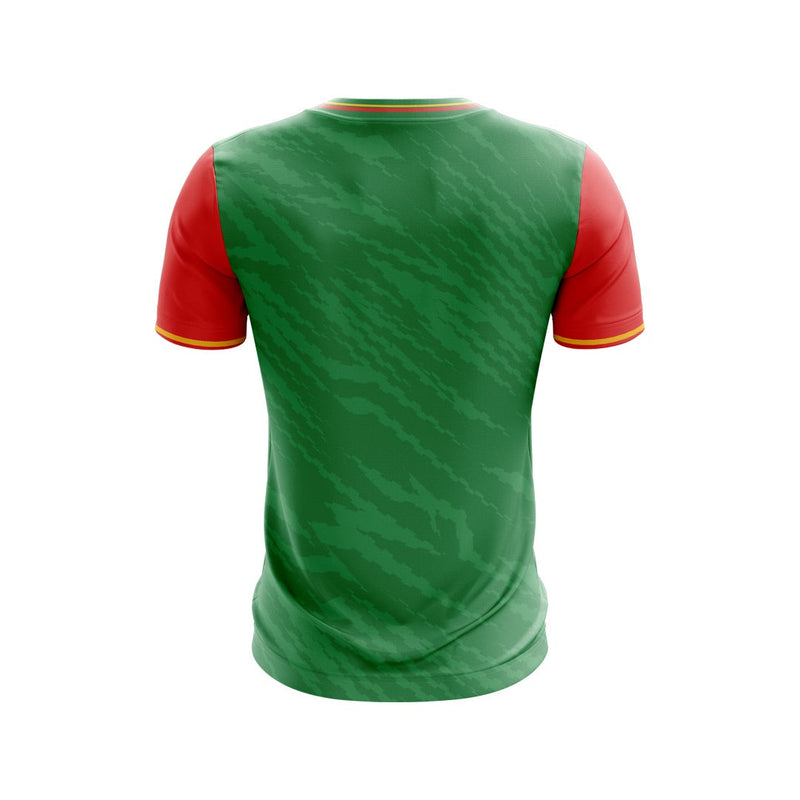 Load image into Gallery viewer, St Teresa's PS Tullyherron Students Jersey D39 - Kids