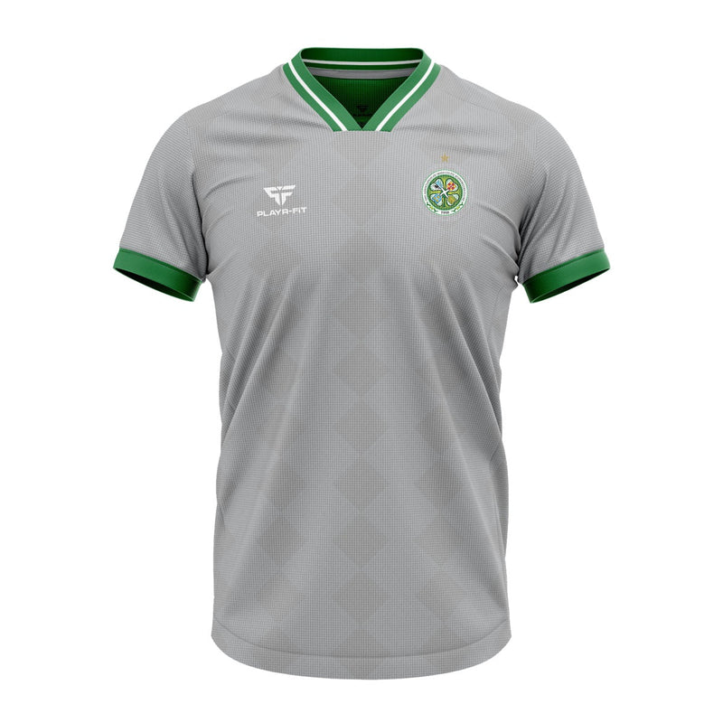 Load image into Gallery viewer, The Association of Irish Celtic Supporters Club Jersey (Grey) - Kids
