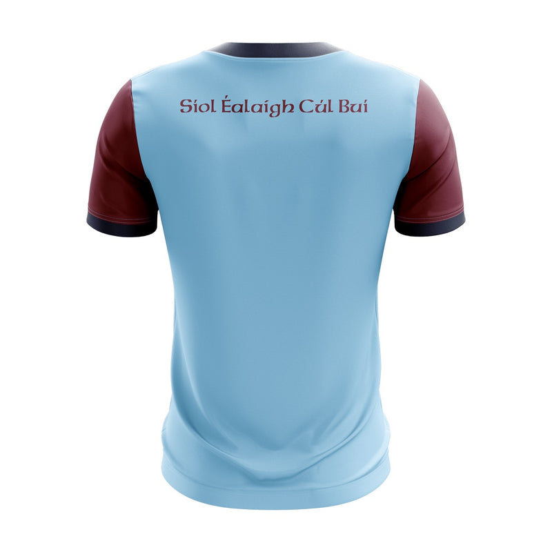 Load image into Gallery viewer, Shillelagh Coolboy Co Jersey (C04 LGFA) - Adults