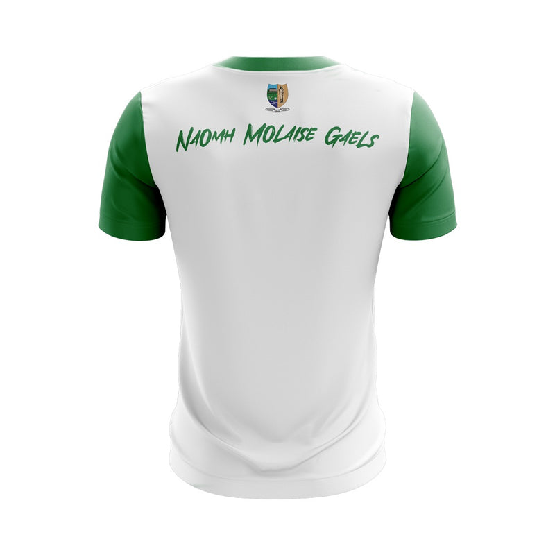 Load image into Gallery viewer, St Molaise Gaels Jersey D35 - Adults