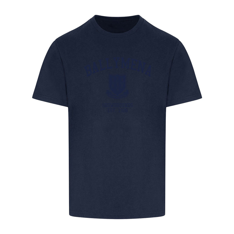 Load image into Gallery viewer, POD Ballymena United FC T-Shirt Template 12 - Adults
