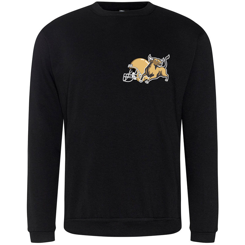 Load image into Gallery viewer, POD Louth Mavericks Sweatshirt Template (09) - Kids
