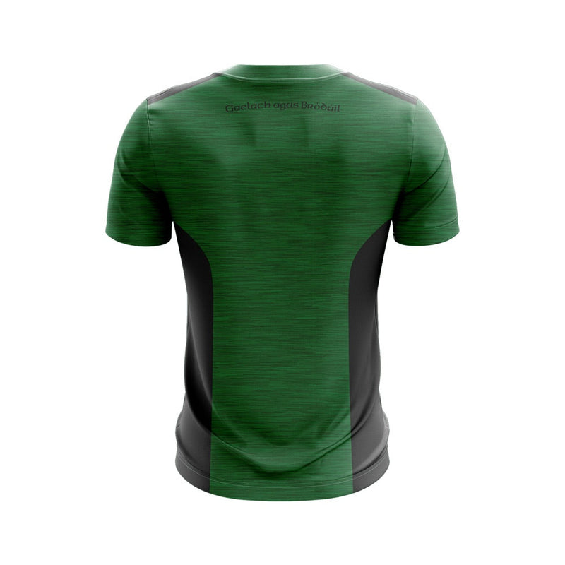 Load image into Gallery viewer, Na Glinntí Glasa ISC T-Shirt Endure (Green/Black) - Adults