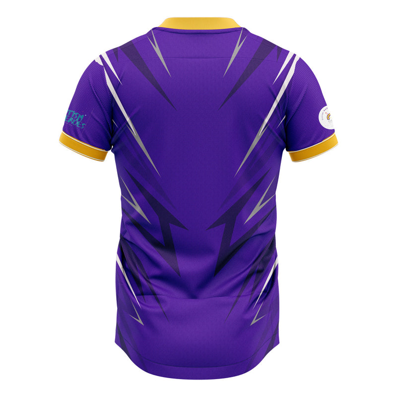 Load image into Gallery viewer, Wexford FC Charity Match Jersey Purple - Kids