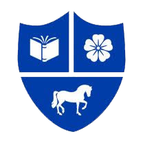 Academy Primary School Saintfield Staff