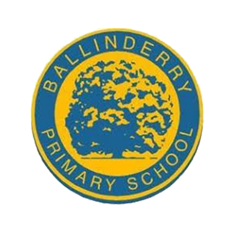 Ballinderry PS Leavers
