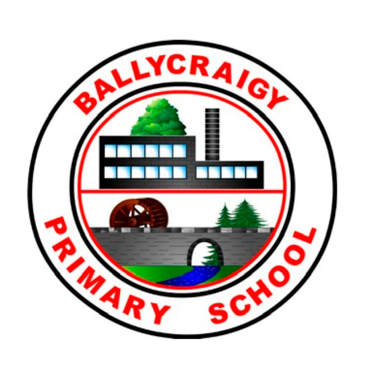 Ballycraigy PS Students