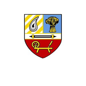 Banbridge Town Ladies