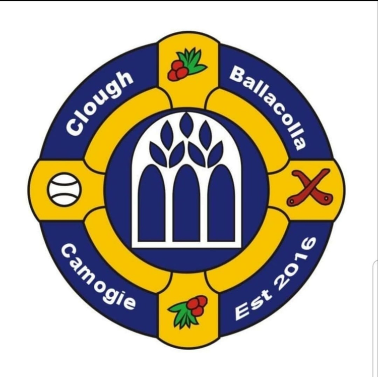 Clough Ballacolla Camogie