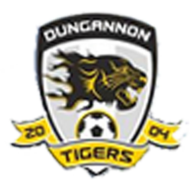 Dungannon Tigers FC