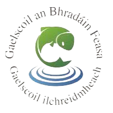 Gaelscoil an Bhradáin Feasa Leavers