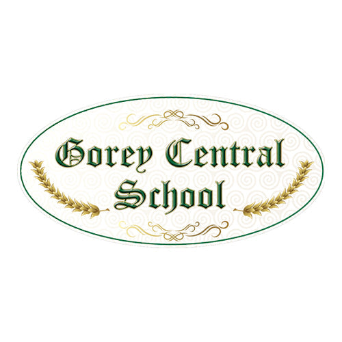 Gorey Central School Students