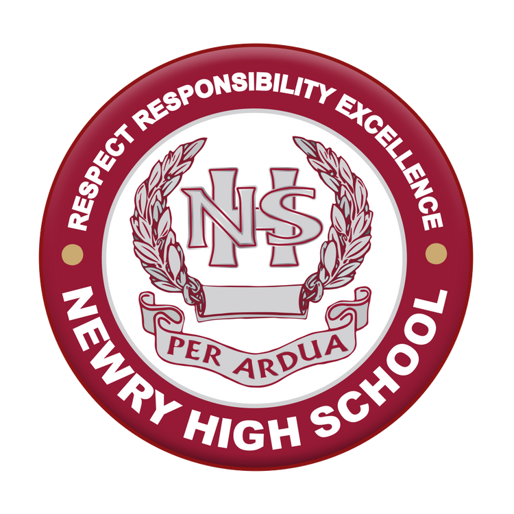 Newry High School Students