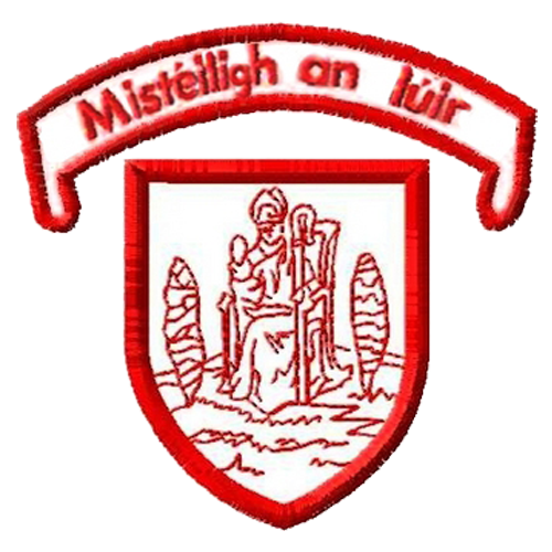 Newry Mitchels Dads & Lads