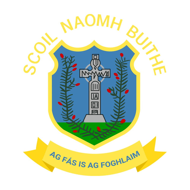 Scoil Naomh Buithe Leavers