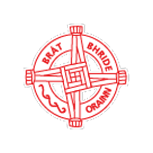 St Brides Camogie