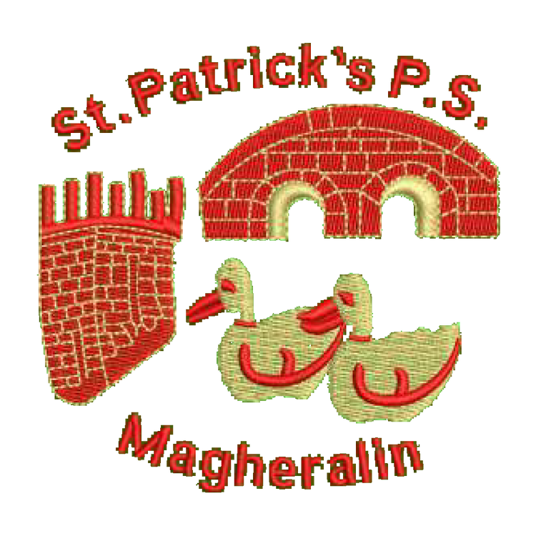 St Patricks PS Magheralin Students