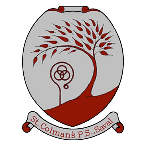St Colmans PS Saval Staff