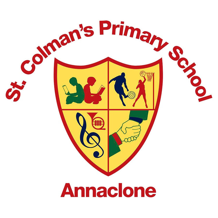 St Colmans PS Annaclone Students