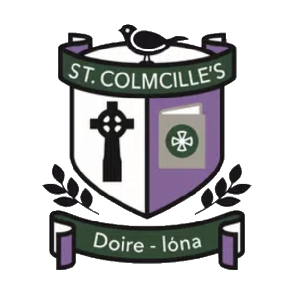 St Colmcilles HS Crossgar Students