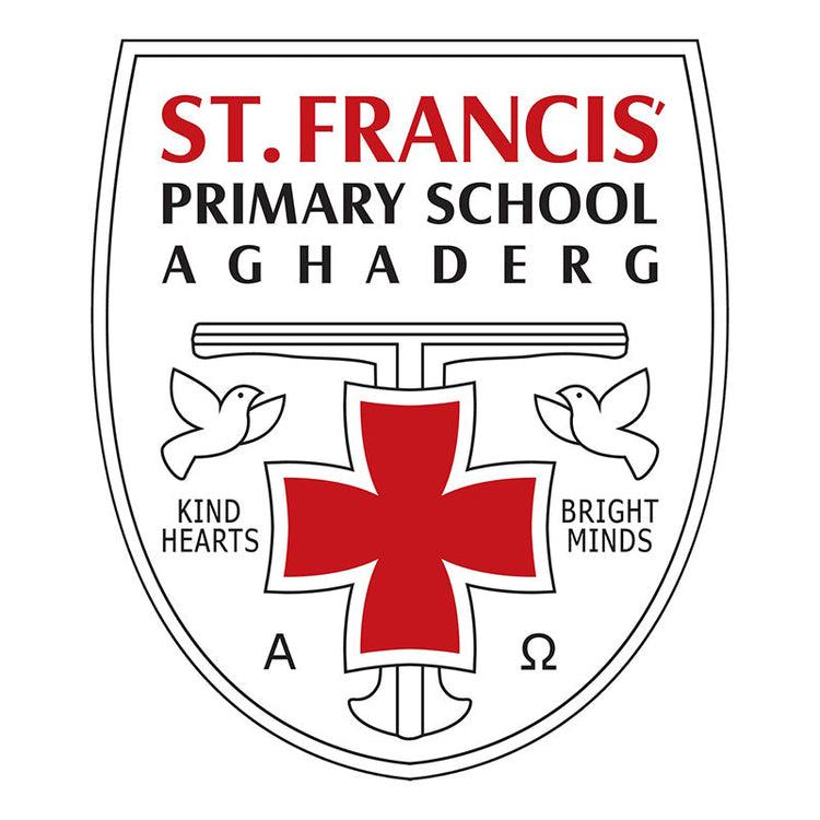 St Francis PS Aghaderg Leavers