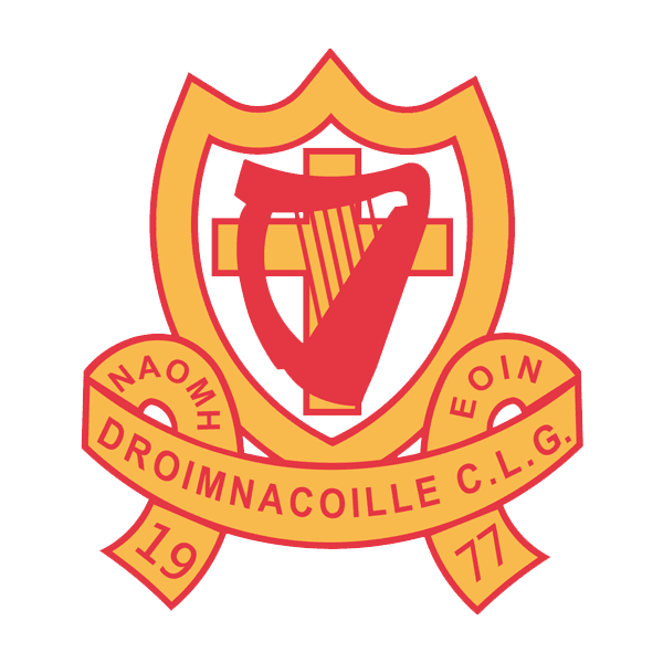 St Johns GAC Drumnaquoile