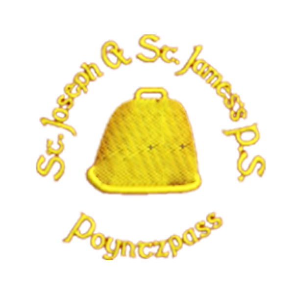 St Joseph's & St James' PS Poyntzpass Student