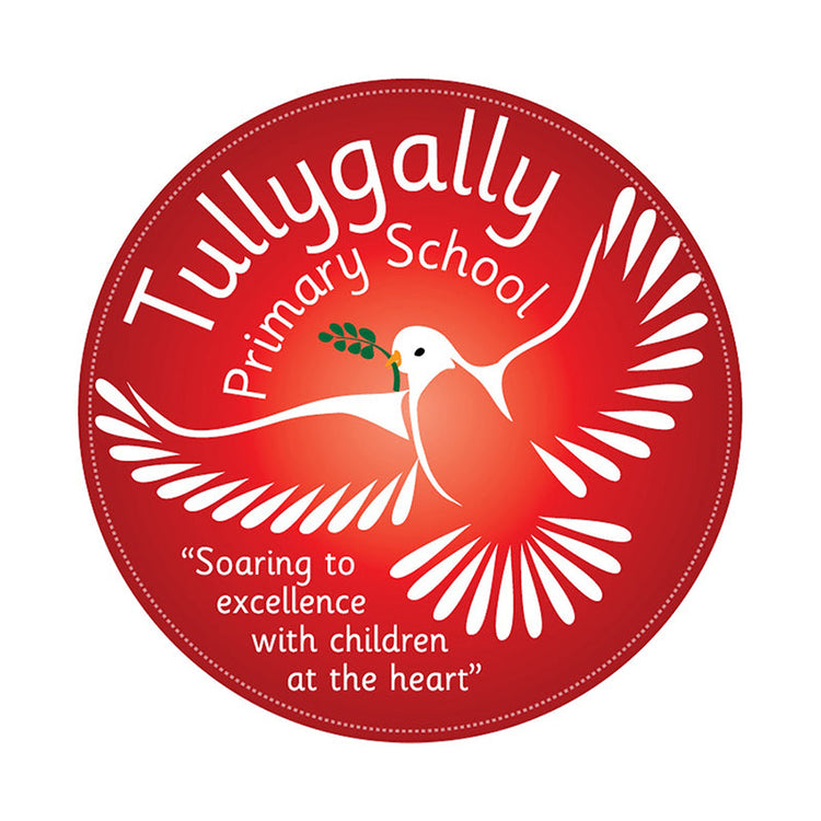 Tullygally Primary School Teachers