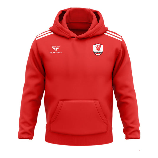 Dundalk Liverpool Supporters Club Hoodie Adroit - Kids