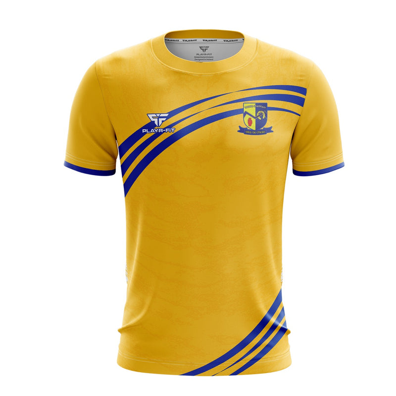 Load image into Gallery viewer, Drumhowan CLG Jersey F09 - Adults
