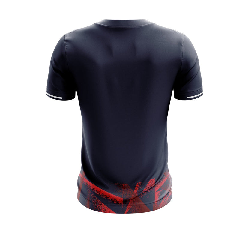 Load image into Gallery viewer, Beara Ladies LGFA Jersey (F12) - Adults
