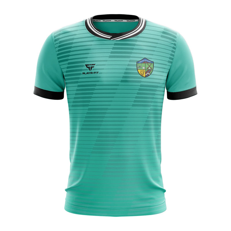 Load image into Gallery viewer, Dromara GAC Jersey F17 - Adults
