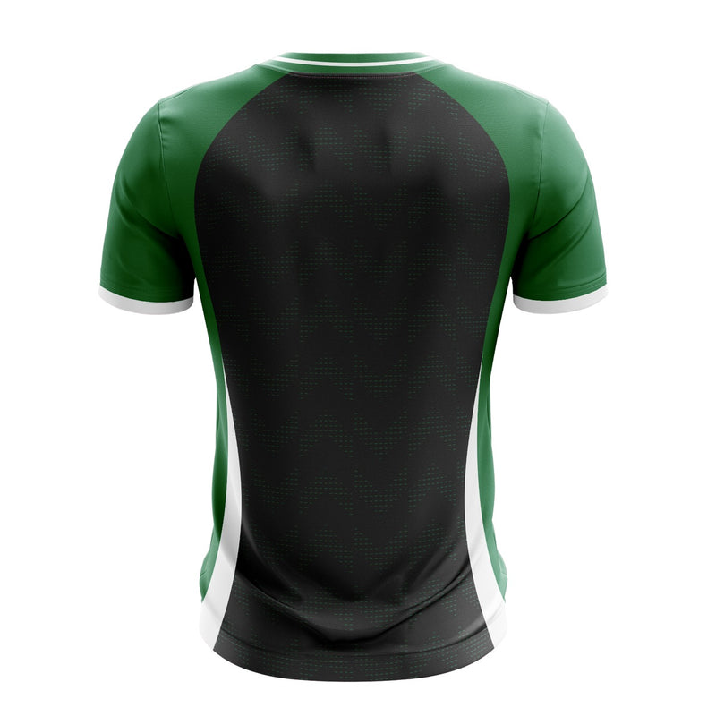 Load image into Gallery viewer, Armagh Celtic Jersey (F35) - Adults
