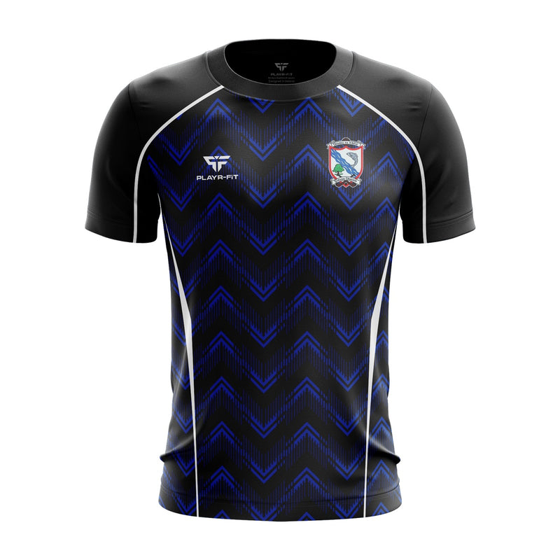 Load image into Gallery viewer, Oylegate Glenbrien GFC Jersey F36 - Adults
