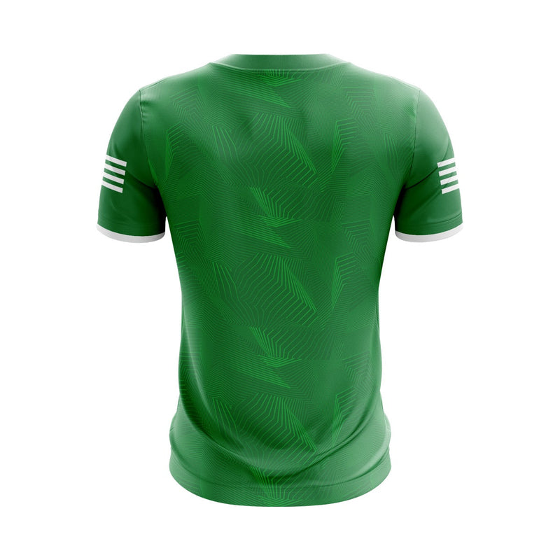 Load image into Gallery viewer, O Raghallaighs GFC Jersey F40 - Green - Adults
