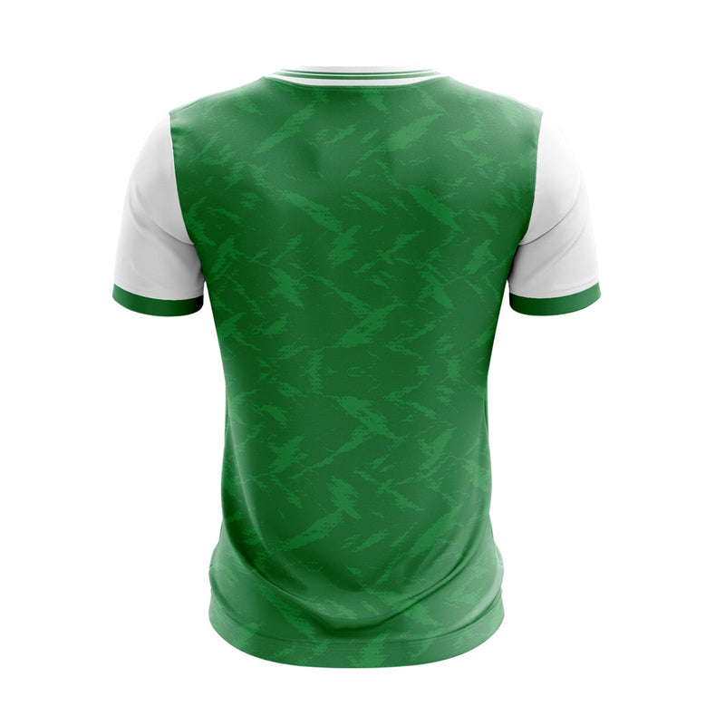 Load image into Gallery viewer, Wolfe Tone GAC Derrymacash Jersey (14 Green/White) - Kids
