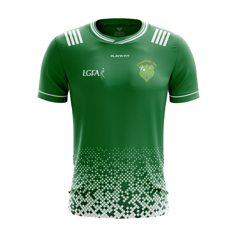 Load image into Gallery viewer, O Raghallaighs LGFA Jersey (Green) - Kids
